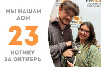 Месяц с небольшим понадобился Паруснику, чтобы стать домашним!