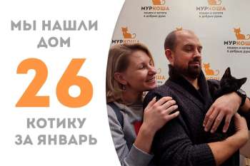 Пельмешик всего за полтора месяца нашёл семью!