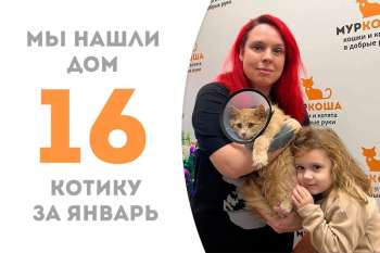 Солнышко Пич нашел семью спустя полтора месяца!