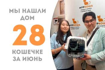 Пиппен становится счастливицей!