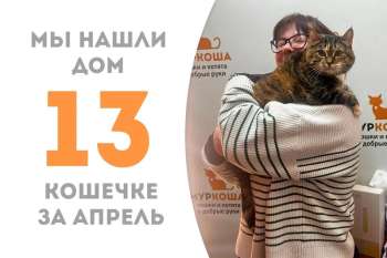 Роскошная Пирлипат отправляется домой!