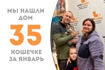 Плотва нашла семью всего за 3 недели!