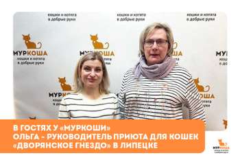 Гости "Муркоши". Руководитель приюта "Дворянское гнездо" г. Липецк