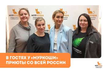 Гости "Муркоши". Представители приютов из разных городов России.