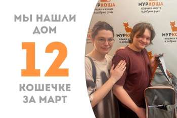 Пушистой Пумори понадобился всего лишь месяц, чтобы найти семью!