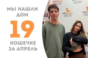Пурысь поймала удачу за хвост!