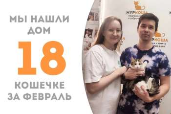 Нежнейшая Рафаэлька стала счастливицей всего-навсего за полторы недельки!