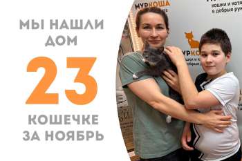Красавица Регата нашла дом всего за два месяца!
