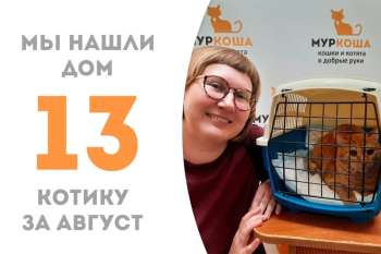 Рыжее солнышко Репкин встречает добрую хозяйку!