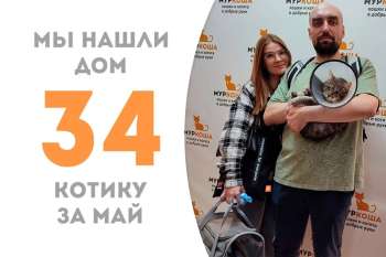 Ридли нашел своих людей меньше чем за два месяца!