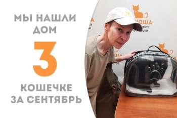 Чудесная Рири нашла свой дом!
