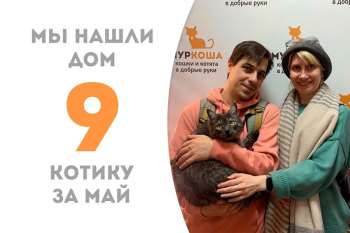 Ривирдейл снова домашний!