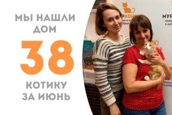 Роберто понадобилось всего 2 месяца, чтобы найти себе семью, где живёт наш выпускник Ухтыш!