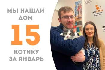 Меньше чем за два месяца малыш Рони нашёл себе семью!