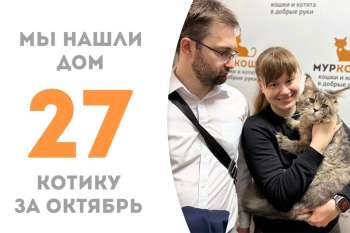 Харизматичный Русич стал домашним!