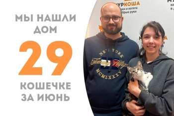 Рысюлька всего за неделю нашла своих людей!