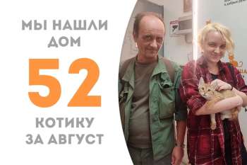 Рысюня не стал задерживаться у нас более полтора месяца и отправился домой!