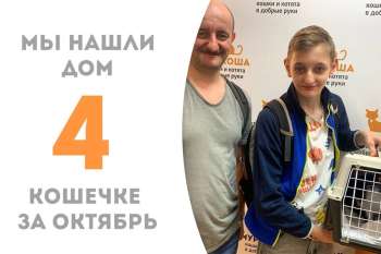 Нежная Самди обрела дом!