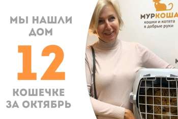 Грациозная Сарафина стала домашней!