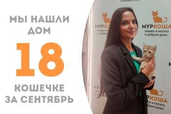 Почти полтора месяца понадобилось Савунье, чтобы обрести дом!