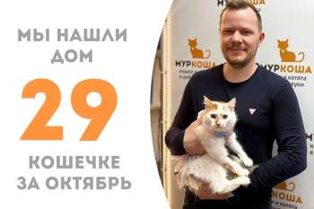 Очаровательная Сечиль уезжает в семью!