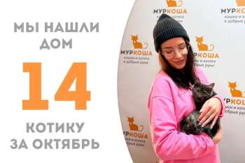 Серебренок стал домашним за 2 с небольшим месяца!