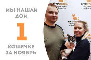 Фотогеничная Шанти стала домашней!