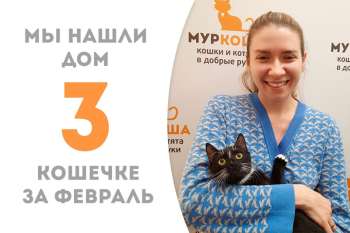 Стильно-модная Шейла отправилась красоваться в семье, восхищать и радовать!