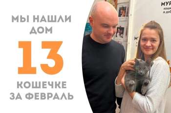 Шурпа пробыла у нас всего полтора месяца!
