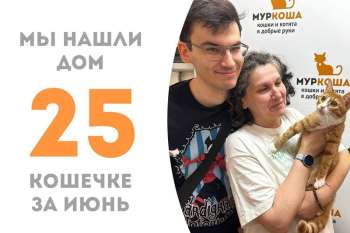 Пробыв в приюте чуть больше трёх месяцев, Синтра нашла своё счастье!