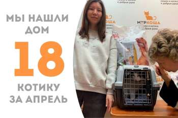 Снеговик уезжает в семью к нашей выпускнице Живанши!