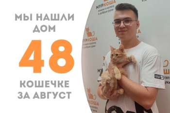 Красавица Солана обрела дом менее чем за два месяца!
