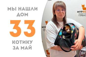 Очаровательный Солныш стал домашним!