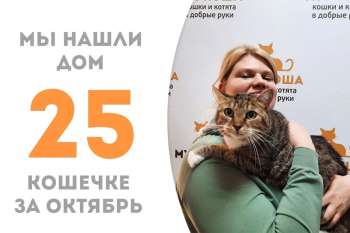 Обаятельная Сончита уезжает домой!