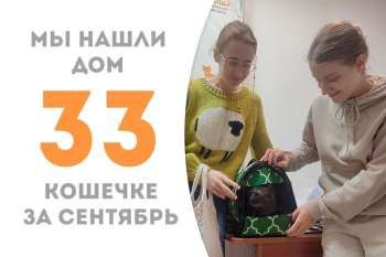 Трехцветная любовь Спиралька обрела дом!