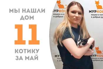 Сторож становится домашним всего за один месяц!