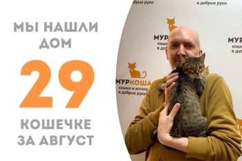 Святомира встретила своего хозяина!