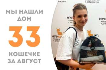 Очаровательная Талула обрела хозяйку!