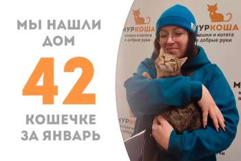 Милой Ташке понадобилось всего полтора месяца, чтобы повстречать своего человека!