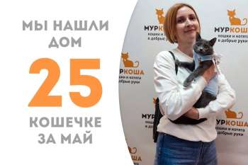 Кошечка Тасильда упорхнула в новую жизнь!