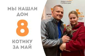 Меньше, чем за два месяца Татоний становится домашним!