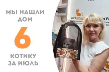Тэйт пробыл у нас всего неделю!
