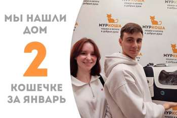 Изящная Тинкербелл обрела семью!