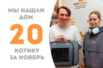 Любознательный Тисаль нашел дом!