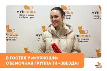 Гости "Муркоши": Съёмочная группа ТК "Звезда"
