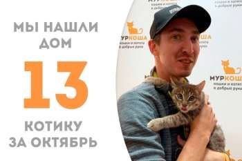 Торопыжкин обрел дом за 2 с половиной месяца!