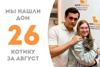 Всего за 2,5 месяца Трубочист стал домашним котиком!