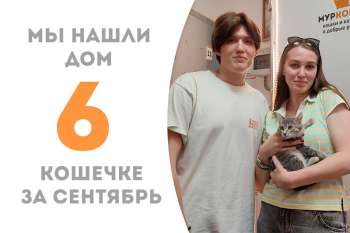 Счастливица Туфелька стала домашней всего за месяц!
