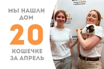 Тянучка отправляется домой!