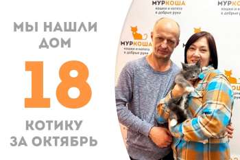 Милый комочек Укси обрел дом всего за 1 месяц!